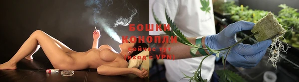 ешки Бронницы