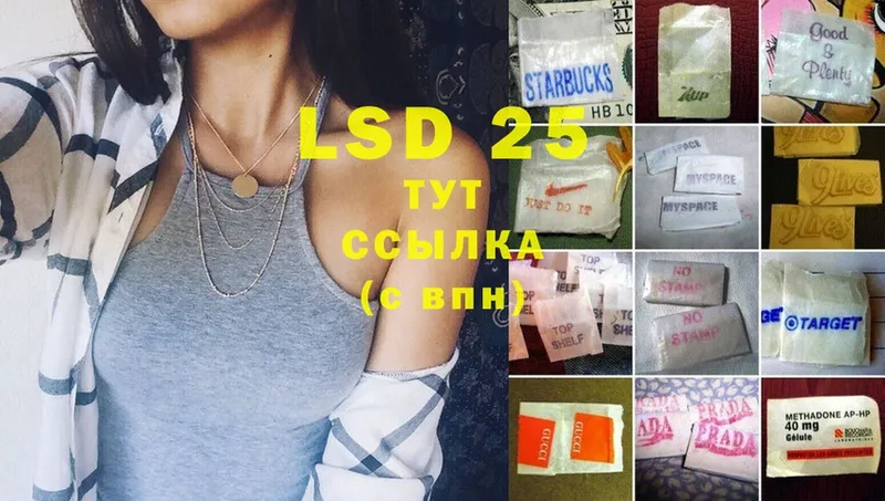 закладки  Колпашево  Лсд 25 экстази ecstasy 