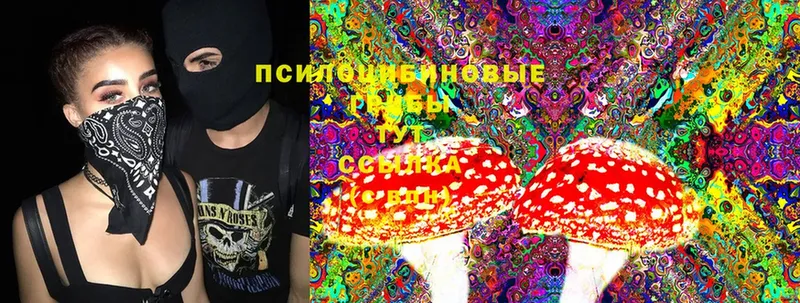 Псилоцибиновые грибы Psilocybe  blacksprut рабочий сайт  Колпашево 